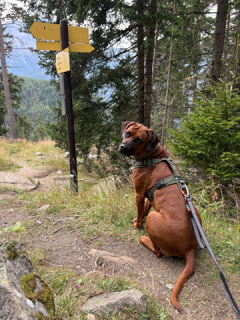 Kali